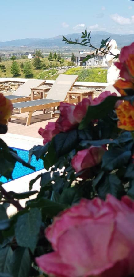 Vinifera Ephesus Hotel Selçuk Bagian luar foto